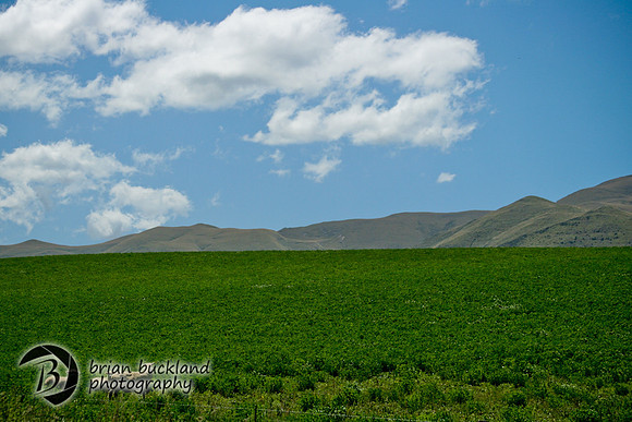 NewZealand-0131