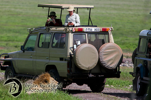 Safari-2597