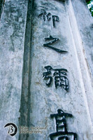 Vietnam-7319
