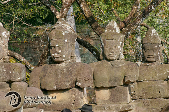 Cambodia-8418
