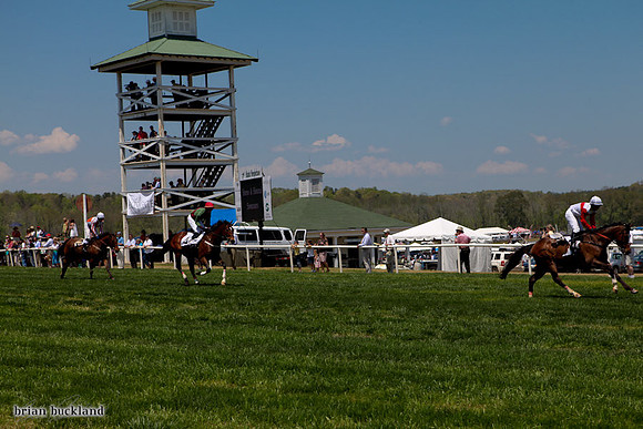 SteepleChase-1539