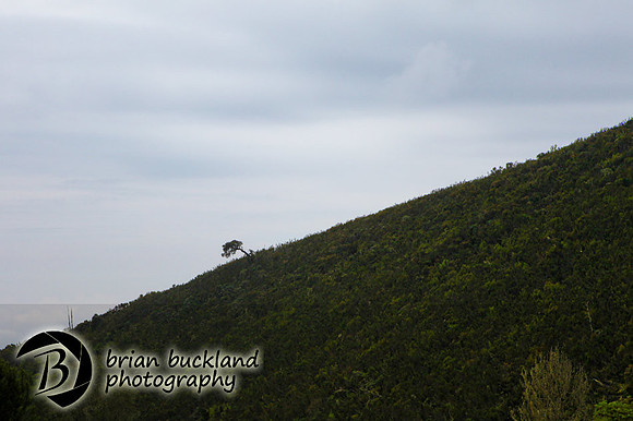 Kilimanjaro-1131