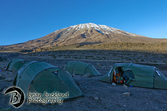 Kilimanjaro-1228