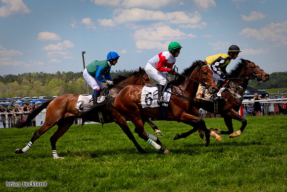 SteepleChase-1633
