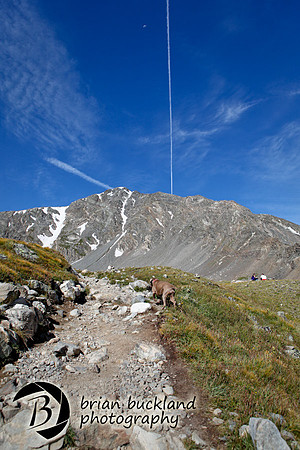 TorreysPeak-6740