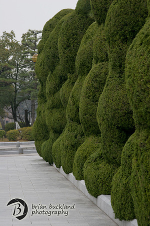 Japan-9741