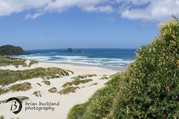 NewZealand-0204
