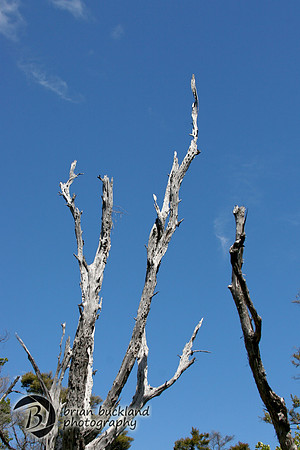 NewZealand-0968