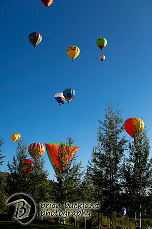 Balloons-8154