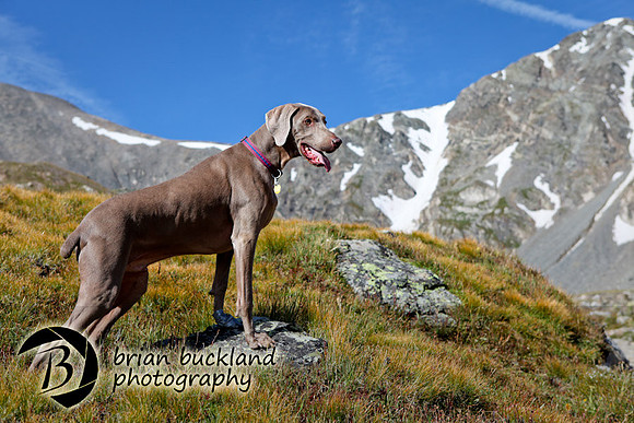 TorreysPeak-6741