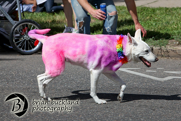 Pride-2671