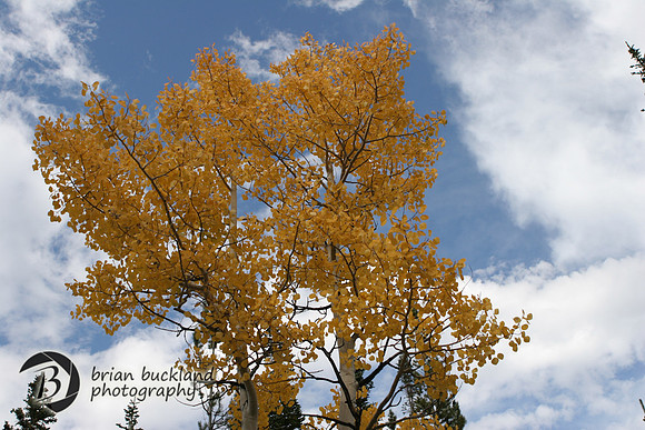 RockyMtnPark-5062