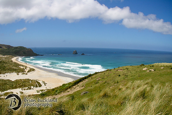 NewZealand-0197