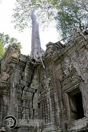 Cambodia-8607