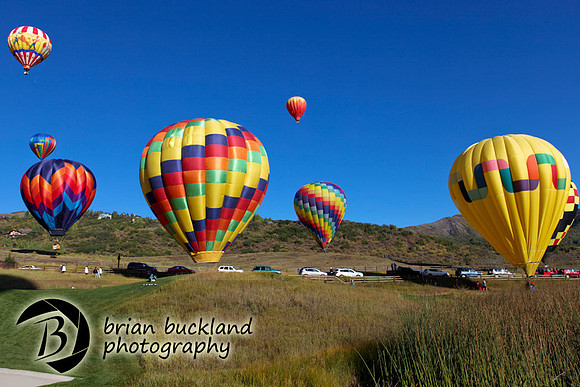 Balloons-8273