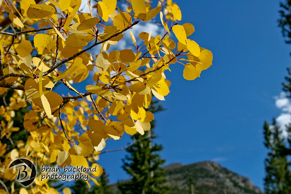 RockyMtnPark-5113