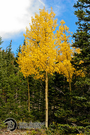 RockyMtnPark-5087