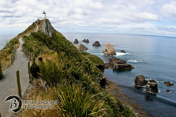 NewZealand-0443