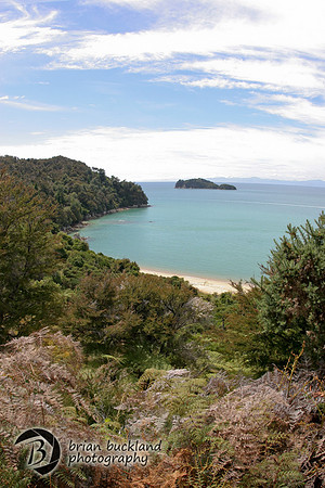 NewZealand-0927
