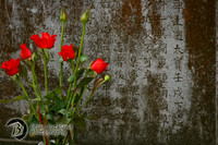 Vietnam-7366