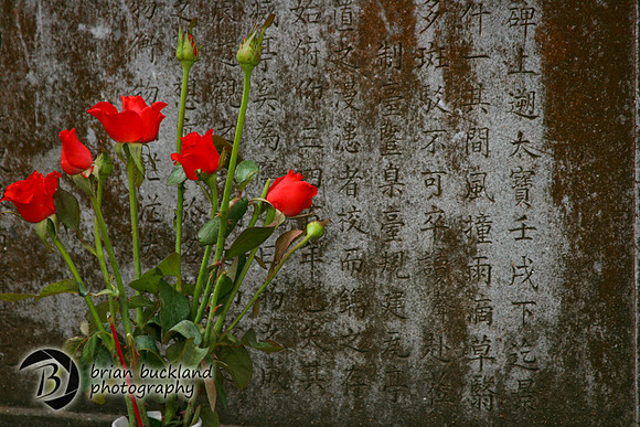 Vietnam-7366