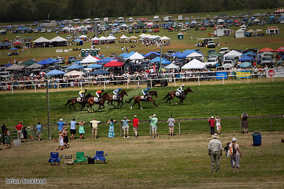 SteepleChase-1592