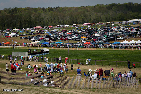 SteepleChase-1585