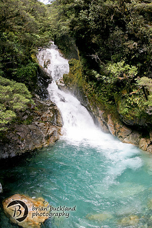 NewZealand-0030