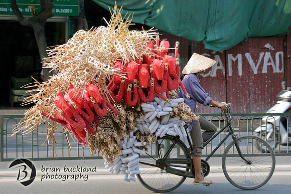 Vietnam-7853