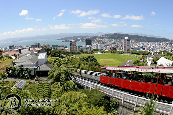 NewZealand-0995