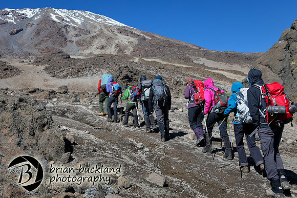 Kilimanjaro-1237