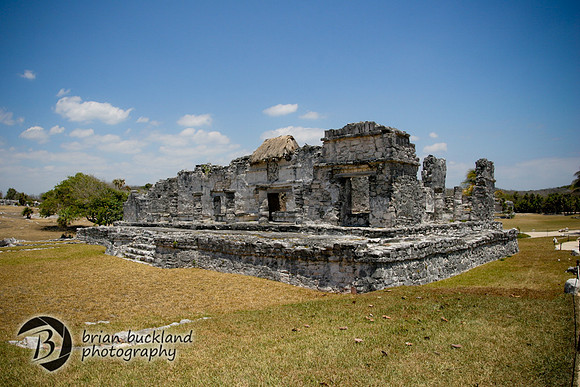 IMG_3421