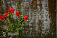 Vietnam-7366-2