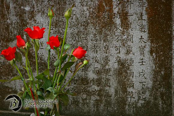 Vietnam-7366-2