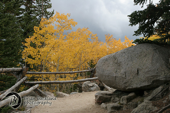 RockyMtnPark-5025