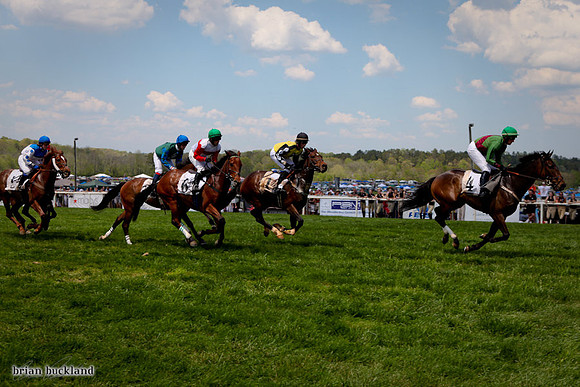 SteepleChase-1631