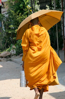IMG_8372