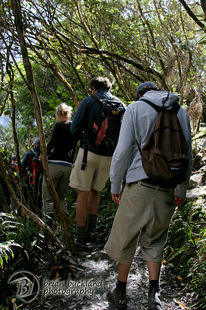 NewZealand-0820