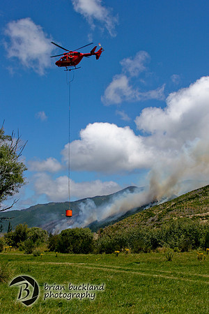 NewZealand-1104