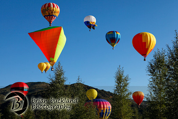 Balloons-8158
