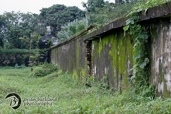 Vietnam-8100
