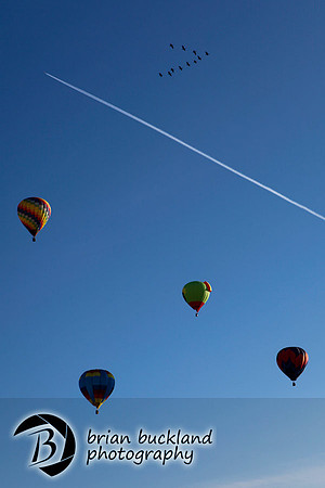 Balloons-8039