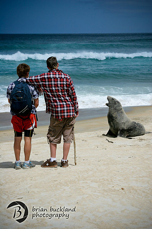 NewZealand-0363