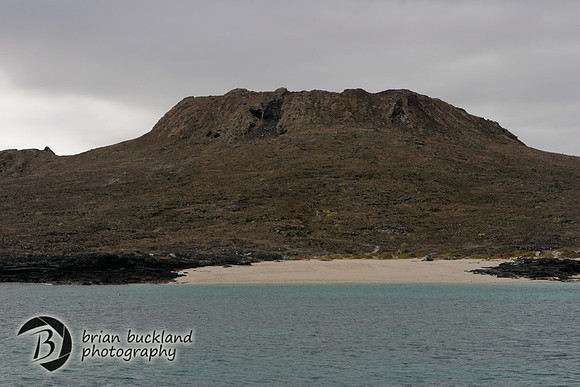 Galapagos-6007