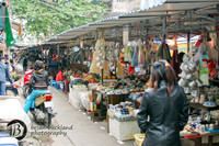 Vietnam-7260