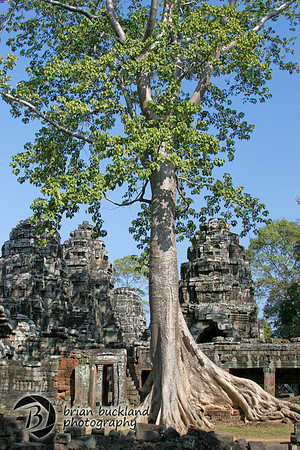 Cambodia-8866