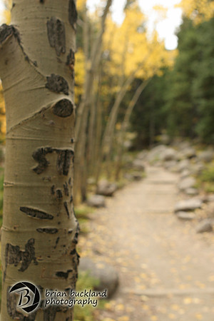 RockyMtnPark-5049
