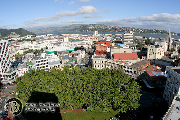 NewZealand-0401