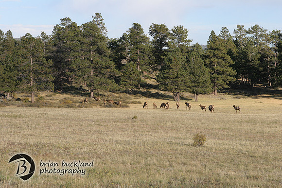 RockyMtnPark-5212