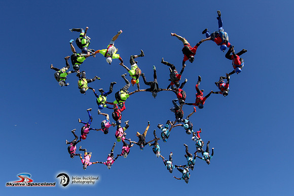 Bigz-8355